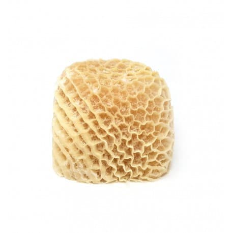 Honeycomb Tripe (Saki) - Cut & Packed — 1kg x 10